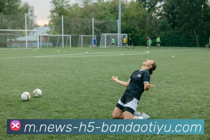 半岛体育APP 高清赛事图